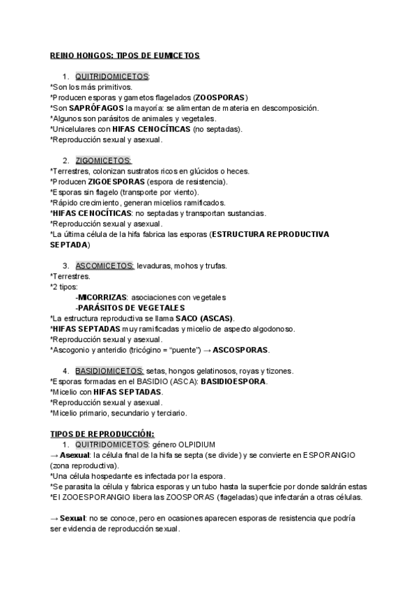 Miniatura del documento RESUMEN-EUMICETOS.pdf