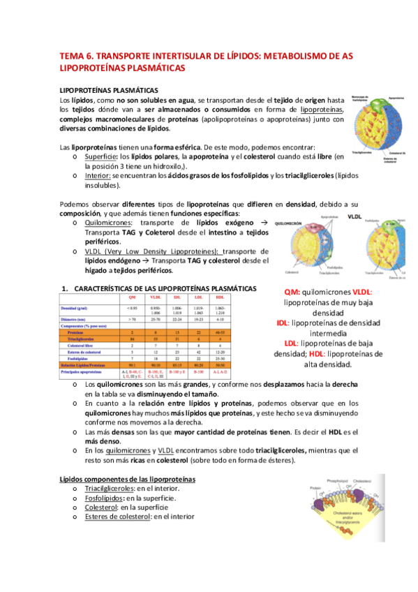 Miniatura del documento TEMA-6-BIOQUIMICA-def.pdf