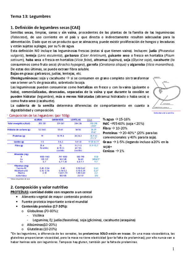 Miniatura del documento 13.pdf