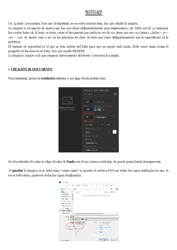 Miniatura del documento PHOTOSHOP.pdf