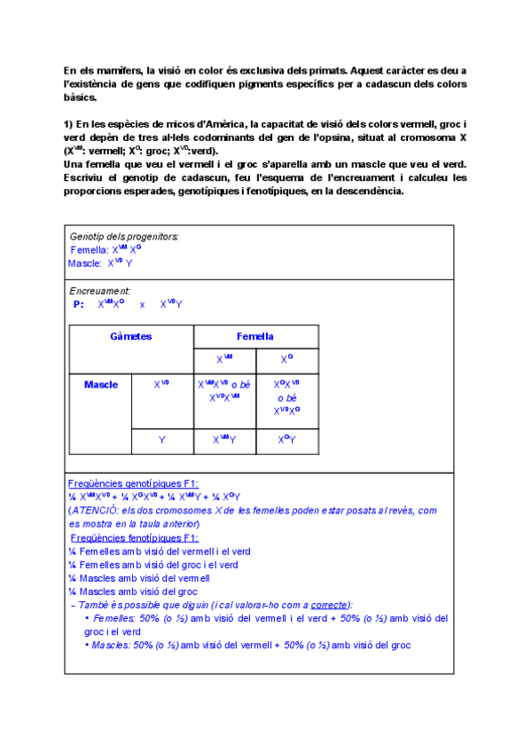 Miniatura del documento Exercicis-selectivitat-genetica.pdf