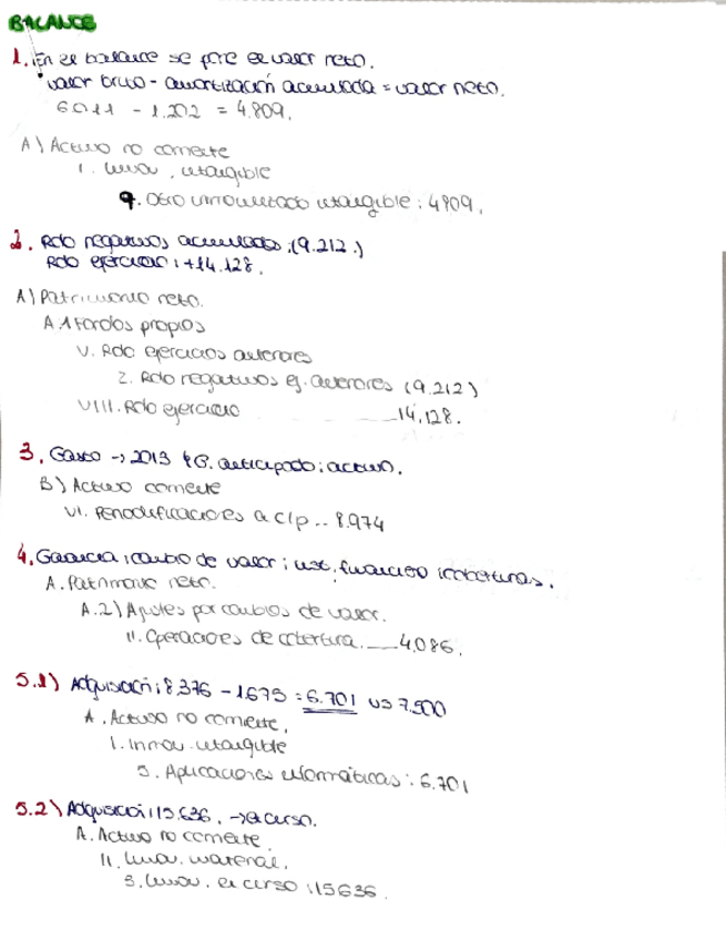 Miniatura del documento ejercicio-resuelto-balance-y-pyg.pdf