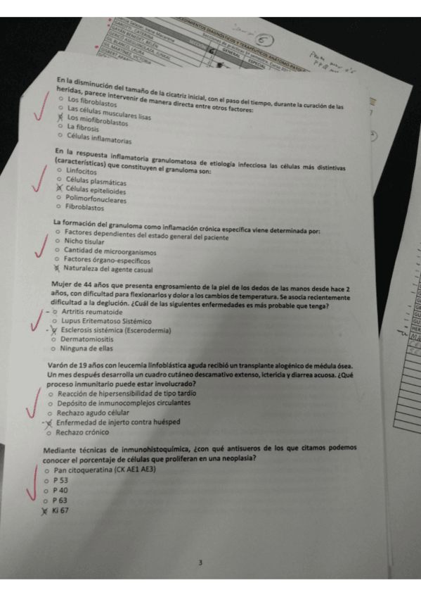 Miniatura del documento ap-examenes-1.pdf