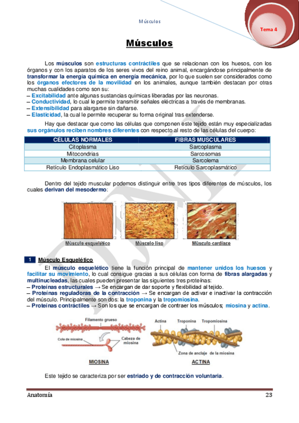 Miniatura del documento 4.pdf