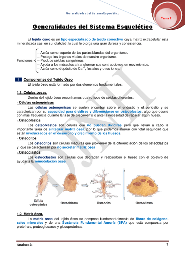 Miniatura del documento 2.pdf
