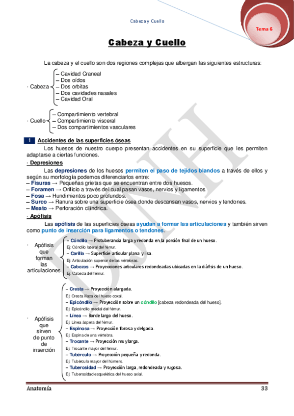 Miniatura del documento 6.pdf