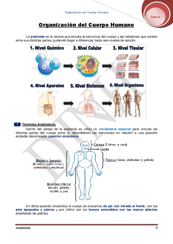 Miniatura del documento 1.pdf