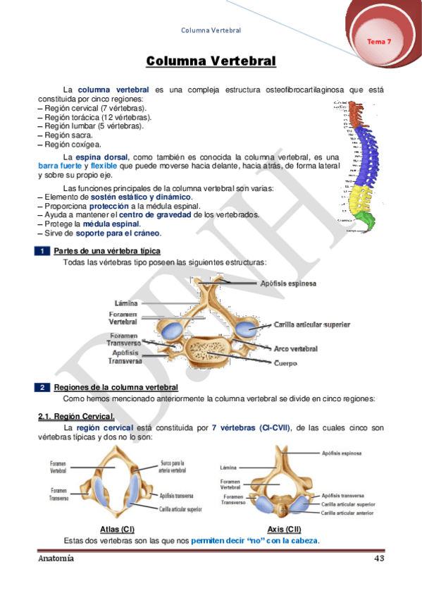 Miniatura del documento 7.pdf