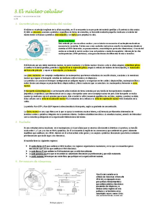 Miniatura del documento 3.El núcleo celular.pdf