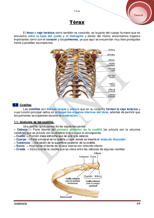 Miniatura del documento 8.pdf