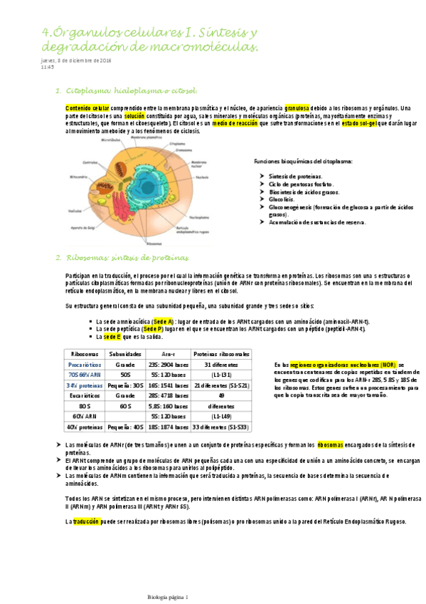 Miniatura del documento 4.Órganulos celulares I. Síntesis y degradación de macromoléculas.pdf