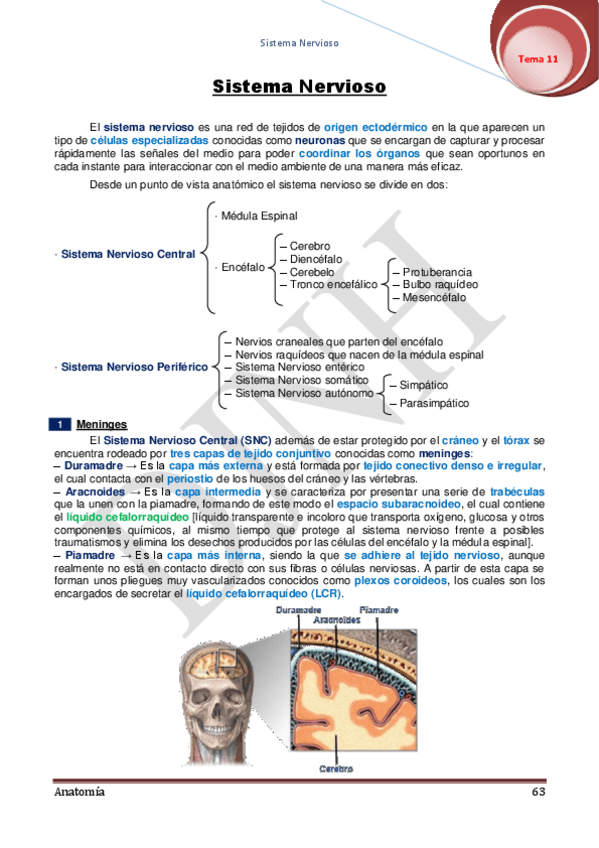 Miniatura del documento 11.pdf