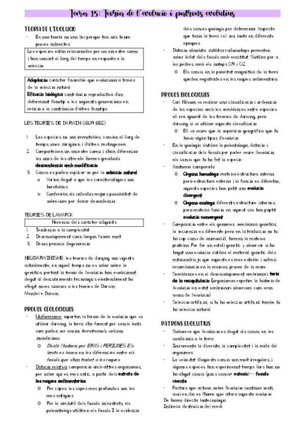 Miniatura del documento RESUMEN-PARCIAL-2.pdf