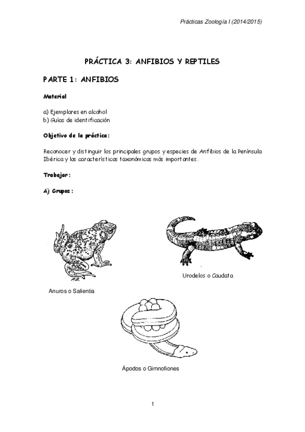 Miniatura del documento ANFIBIOS Y REPTILES.pdf