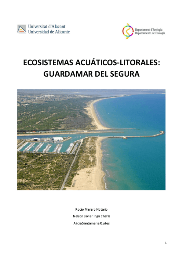 Miniatura del documento INFORME-GUARDAMAR-FINAL.pdf