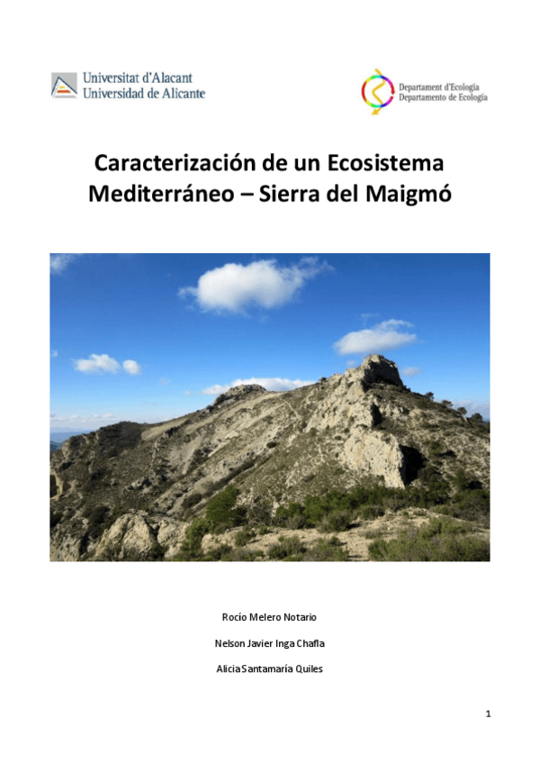 Miniatura del documento INFORME-MAIGMO.pdf