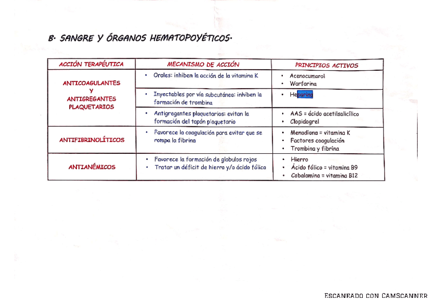 Miniatura del documento SANGRE-Y-ORGANOS-HEMATOPOYETICOS.pdf