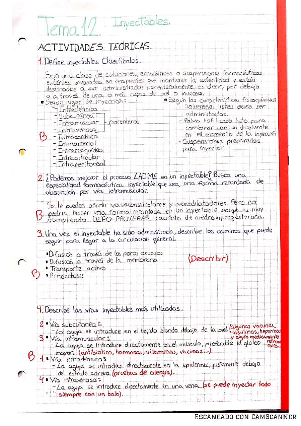 Miniatura del documento ACTIVIDADES-TEMA-12.pdf