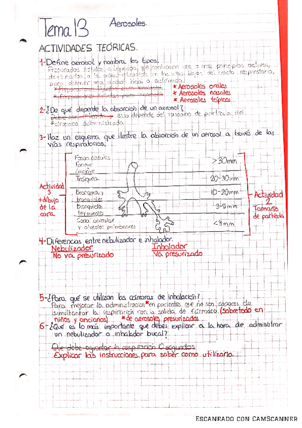 Miniatura del documento ACTIVIDADES-TEMA-13.pdf