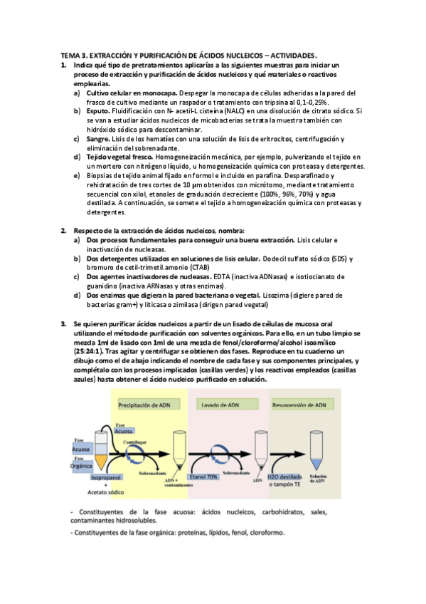Miniatura del documento Tema-3-BMC-Actividades.pdf