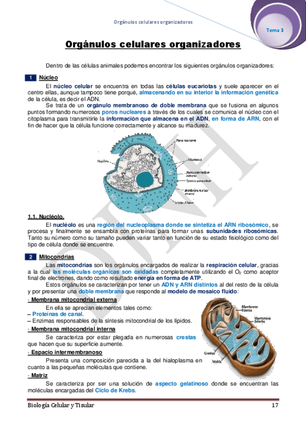 Miniatura del documento 3.pdf