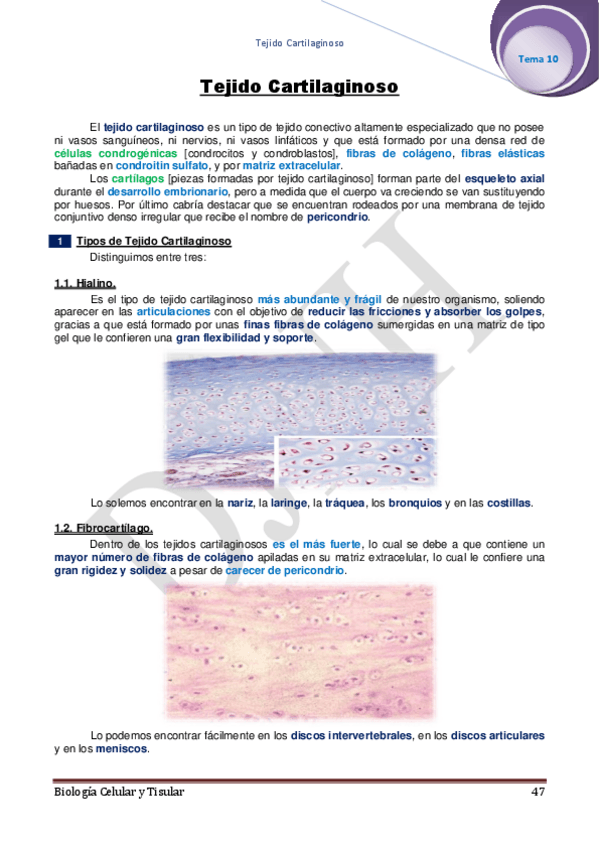 Miniatura del documento 10.pdf
