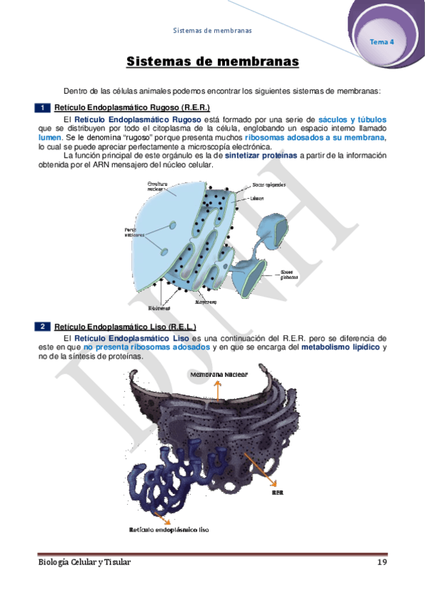 Miniatura del documento 4.pdf