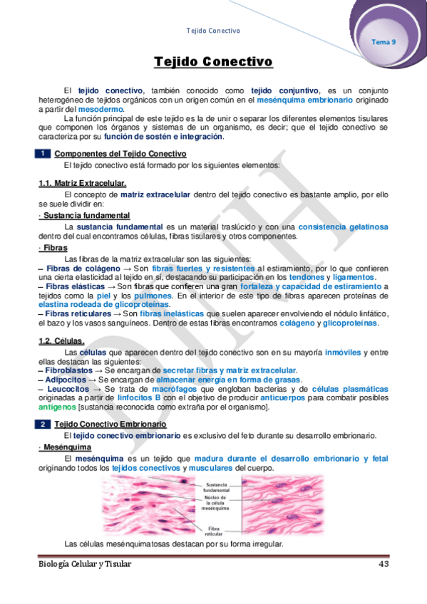 Miniatura del documento 9.pdf