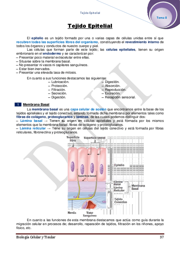 Miniatura del documento 8.pdf