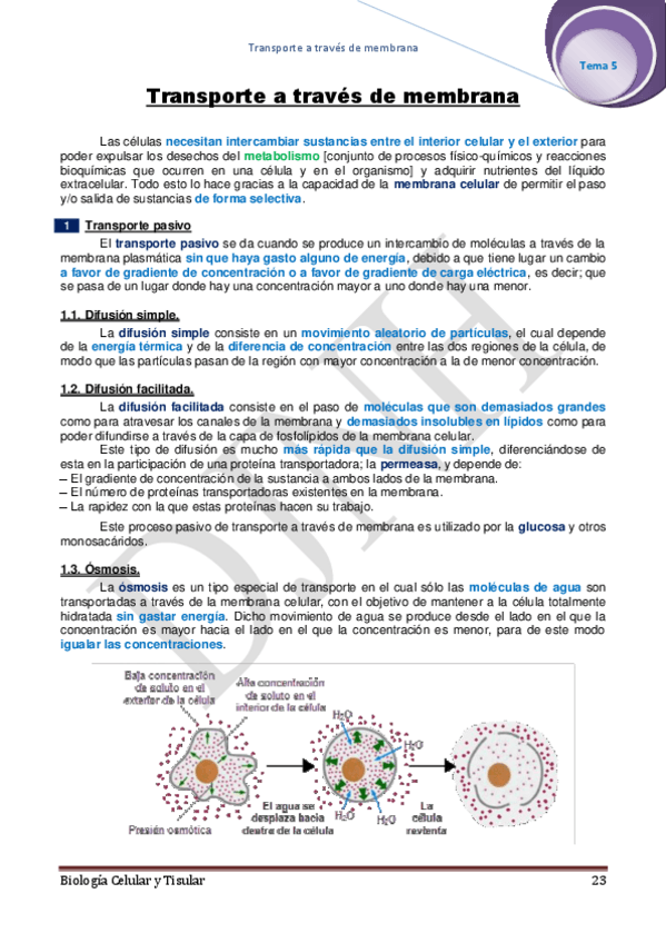 Miniatura del documento 5.pdf