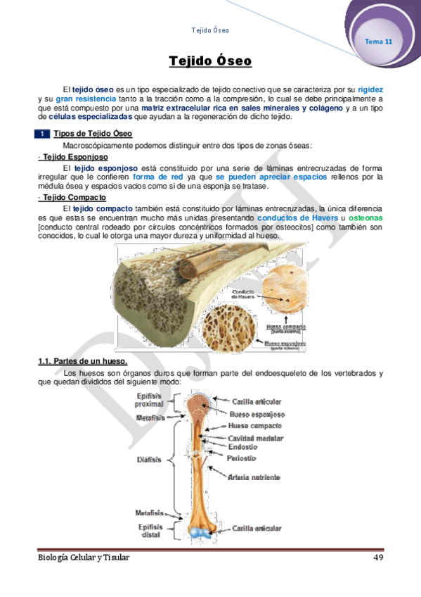 Miniatura del documento 11.pdf
