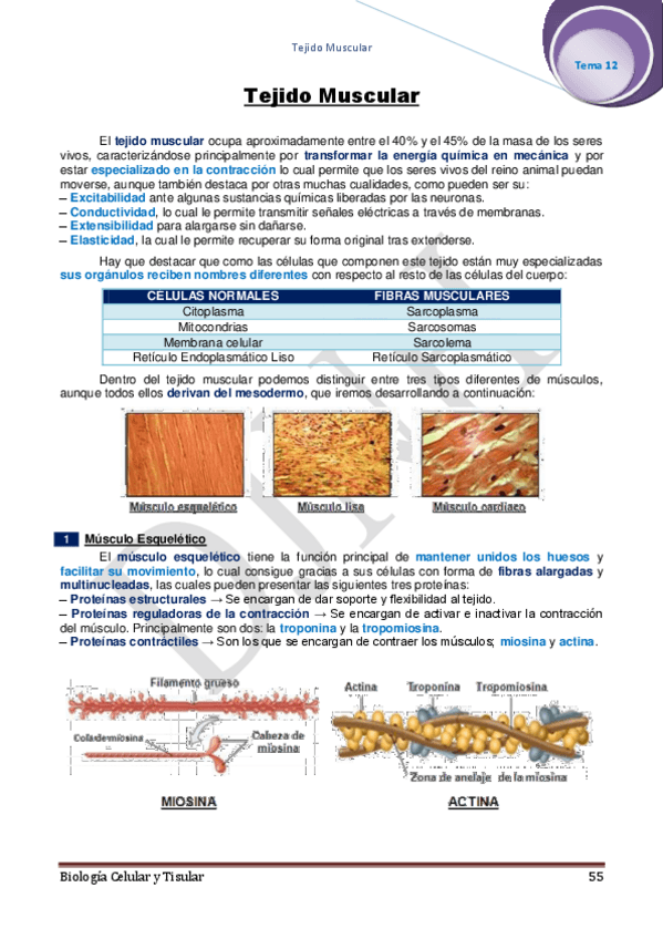 Miniatura del documento 12.pdf