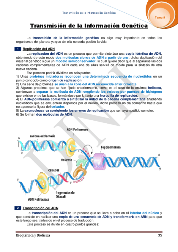 Miniatura del documento 9.pdf