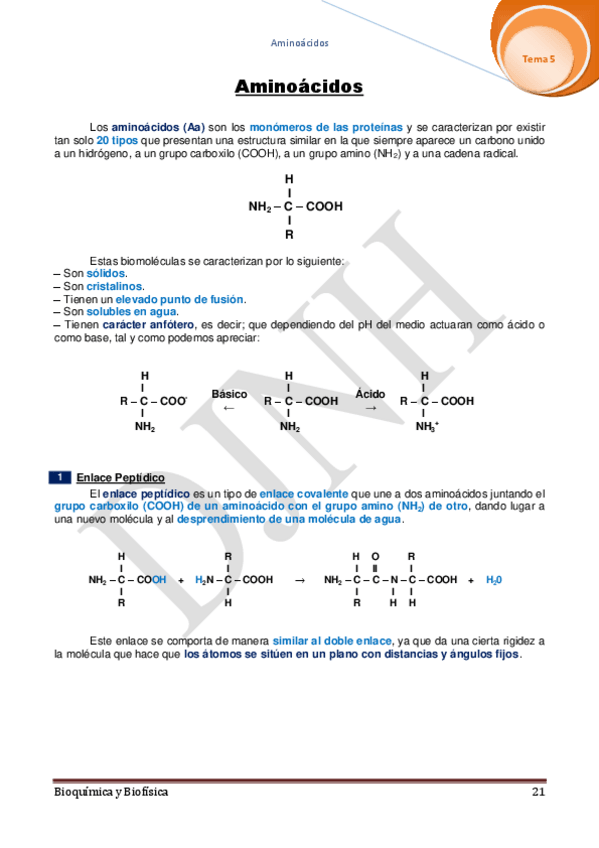 Miniatura del documento 5.pdf