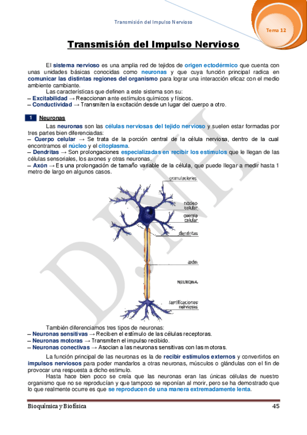 Miniatura del documento 12.pdf