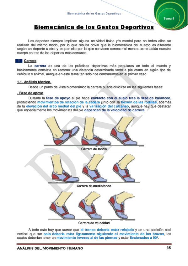 Miniatura del documento 4.pdf