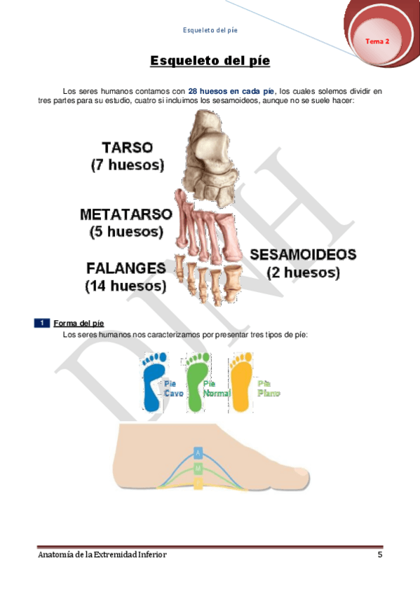 Miniatura del documento 2.pdf