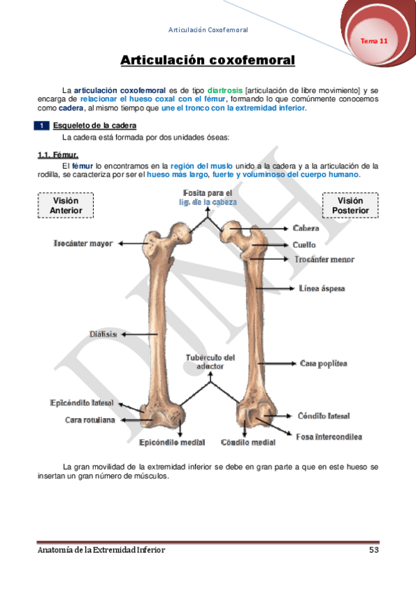 Miniatura del documento 11.pdf
