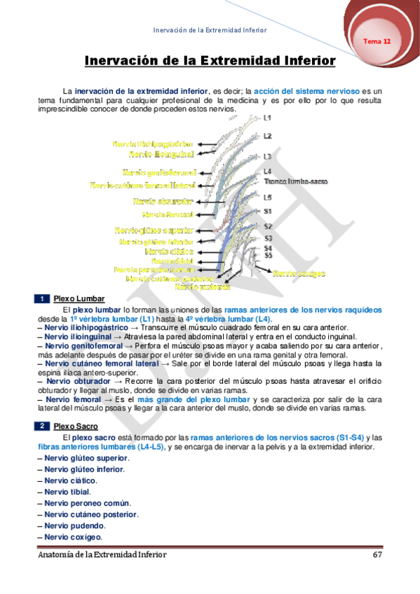 Miniatura del documento 12.pdf