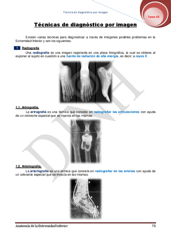 Miniatura del documento 15.pdf