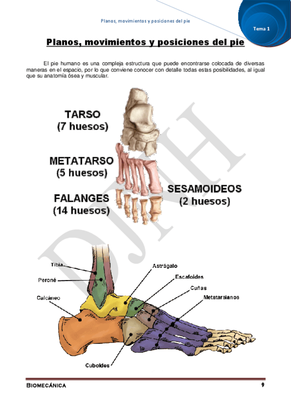 Miniatura del documento 1.pdf