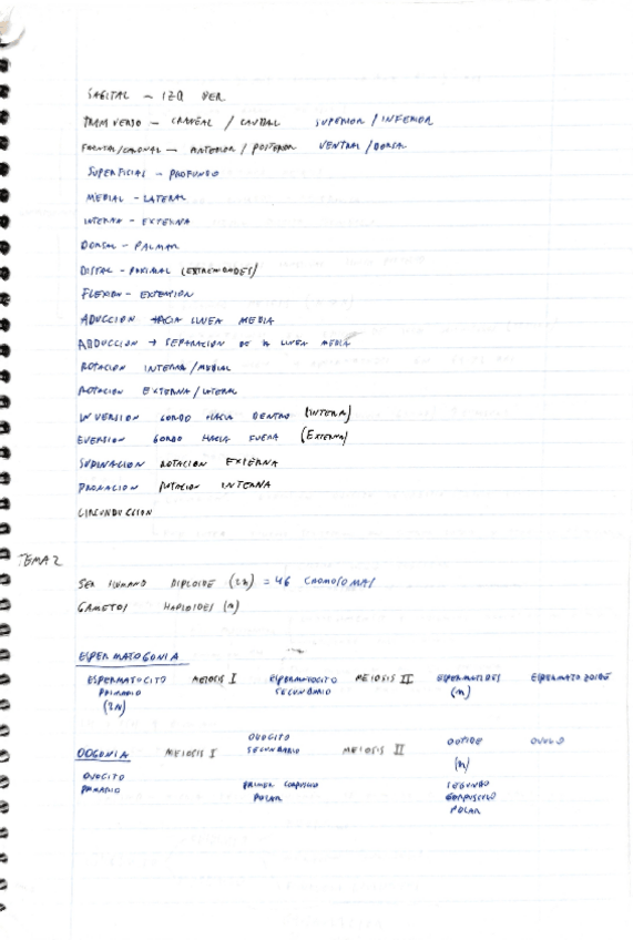 Miniatura del documento primer-parcial-anatomia.pdf