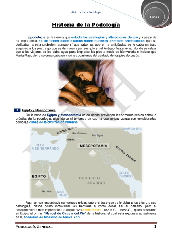 Miniatura del documento 1.pdf