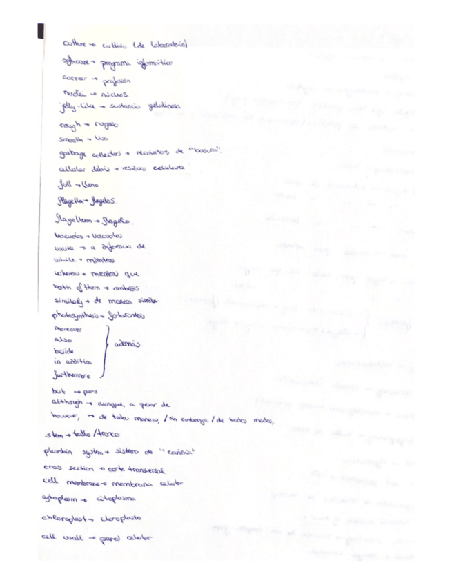 Miniatura del documento Vocabulario-2.pdf