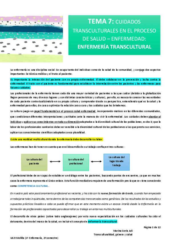 Miniatura del documento T7-Transculturalidad.pdf