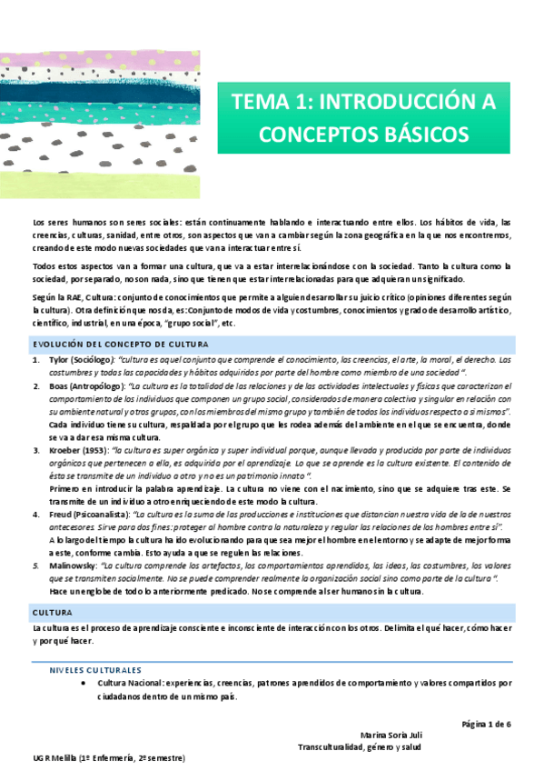 Miniatura del documento T1-Transculturalidad.pdf