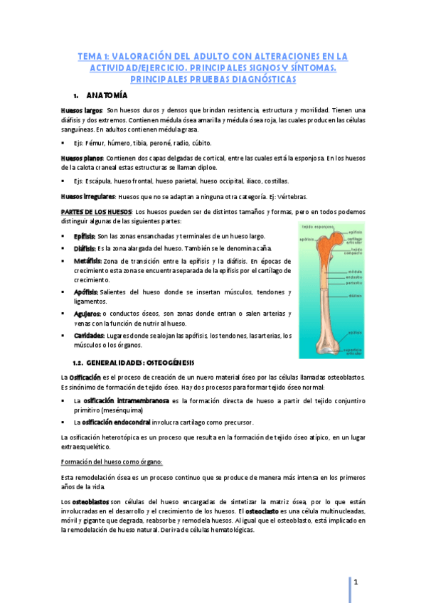 Miniatura del documento TEMA-1.pdf