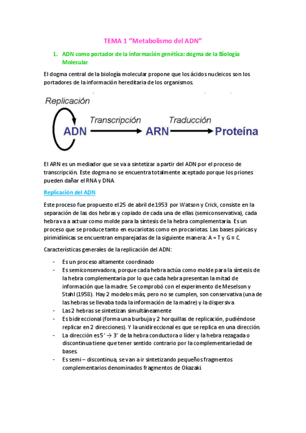 Miniatura del documento TEMA 1.pdf