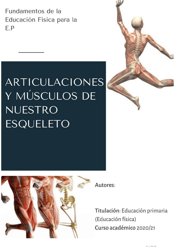 Miniatura del documento trabajo-teorico-practico-articulaciones-mov-y-musculos.pdf