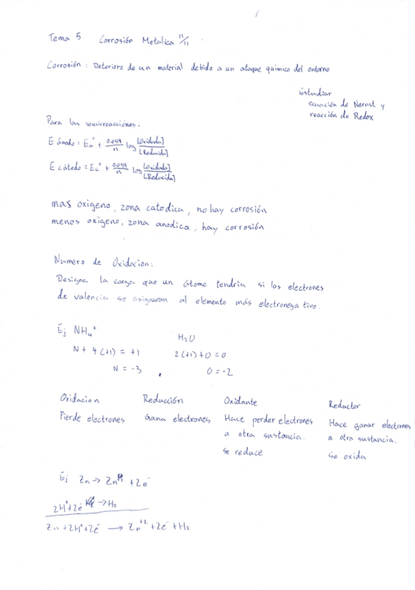 Miniatura del documento apuntes-del-temario-segundo-parcial.pdf